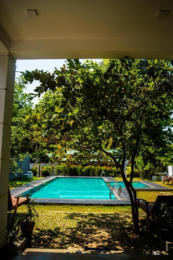 Sigiri Sierra View Resort Sigiriya Luaran gambar